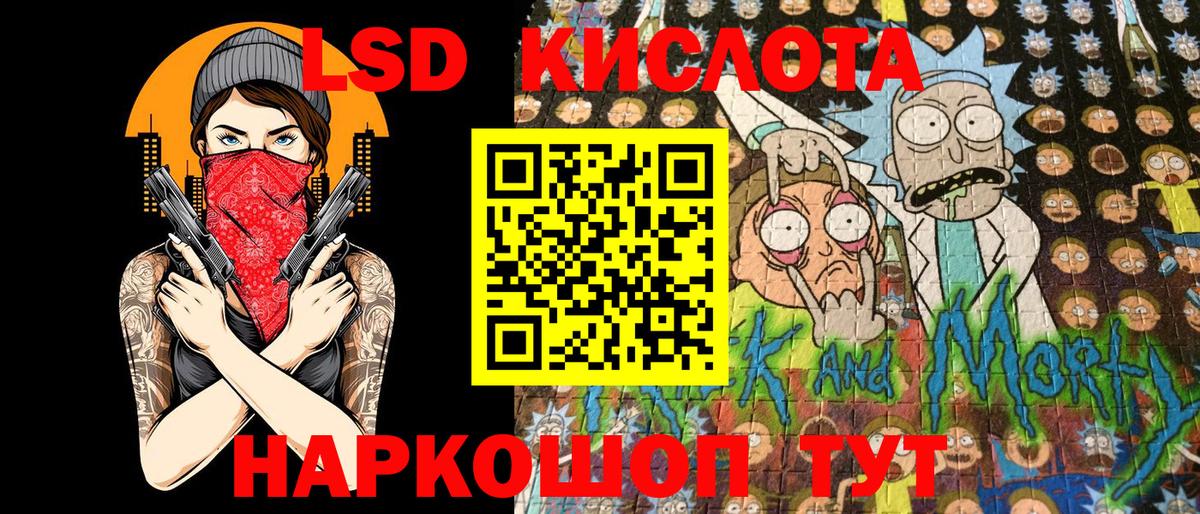 Бошки Шишки Тара